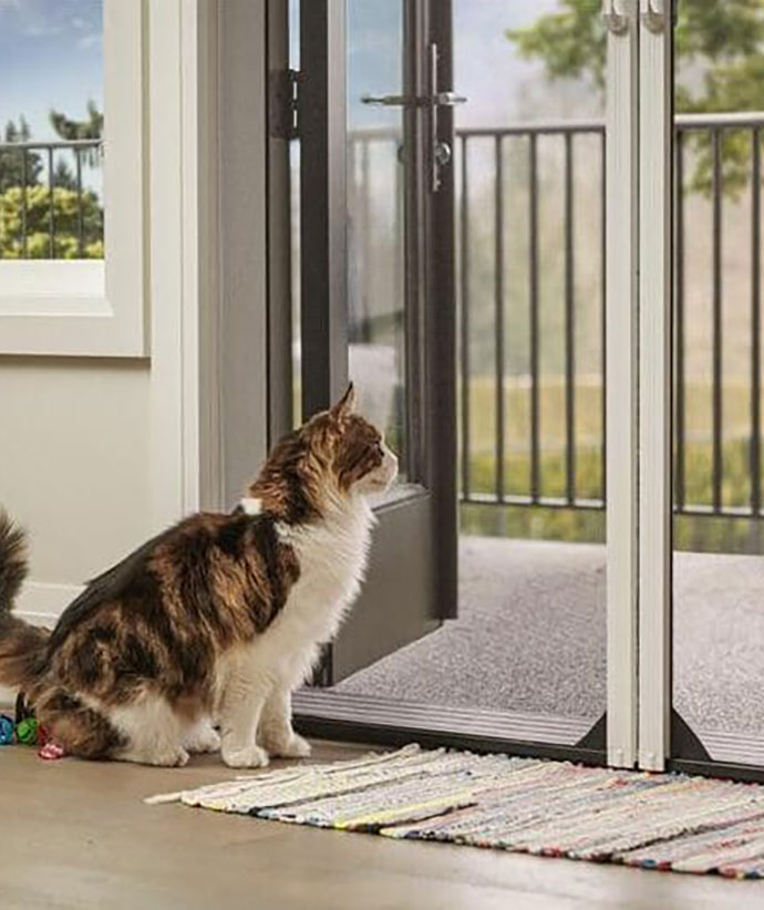 Cat sitting contentedly by a durable retractable screen door